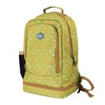 Back Pack Max Green Dino - Back Pack & Lunch Bag 2-in-1