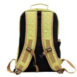 Back Pack Max Green Dino - Back Pack & Lunch Bag 2-in-1